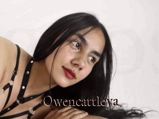Owencattleya