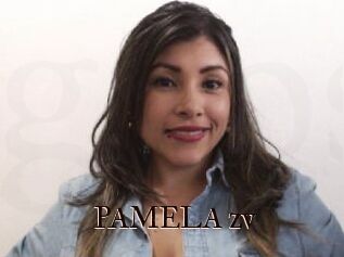 PAMELA_zv