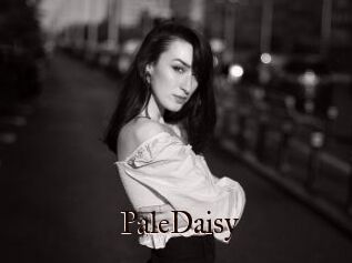 PaleDaisy