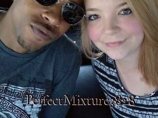 PerfectMixture3828