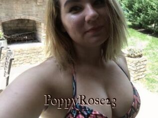 PoppyRose23
