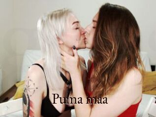 Puma_maa