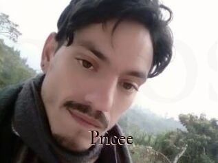 _Pricee_