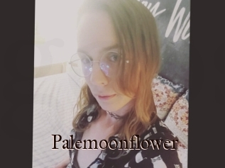 Palemoonflower