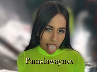 Pamelawaynex