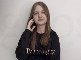 Peacebigge