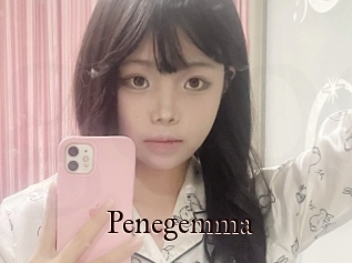 Penegemma