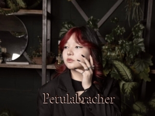 Petulabracher