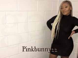 Pinkbunny22
