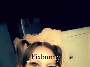 Pixbunny
