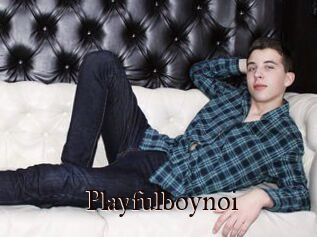 Playfulboynoi