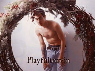 Playfultorvin