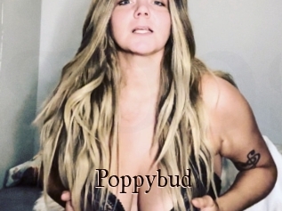 Poppybud