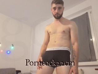 Porncock22cm