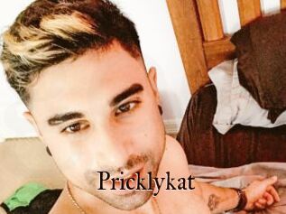 Pricklykat