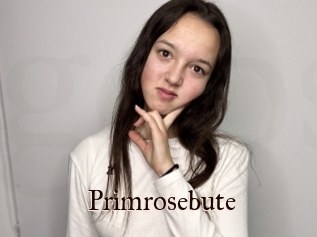 Primrosebute