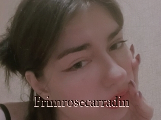 Primrosecarradin
