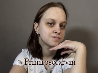 Primrosecarvin