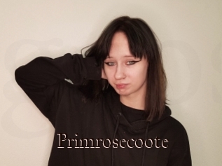 Primrosecoote