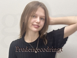 Prudencecodringt