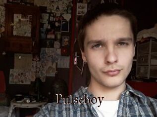 Pulseboy