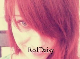 RedDaisy