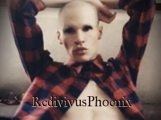 RedivivusPhoenix