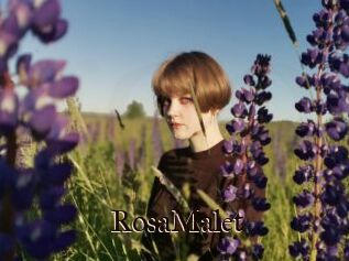 RosaMalet