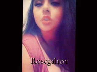 Rosegal101
