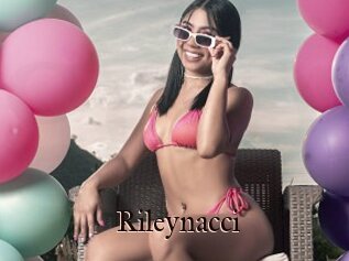 Rileynacci