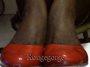 Rougegorge