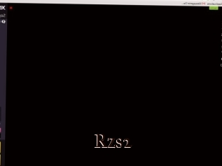 Rzs2