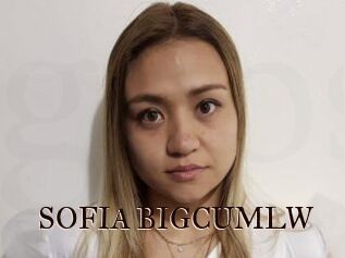 SOFIA_BIGCUMLW