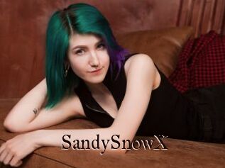 SandySnowX