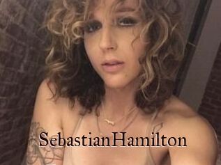 Sebastian_Hamilton
