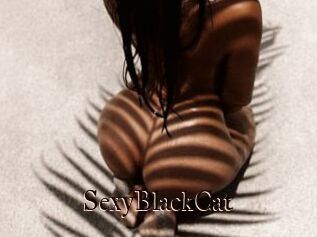 SexyBlackCat_