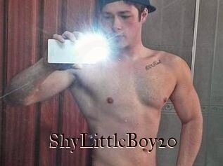 ShyLittleBoy20