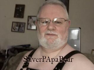 SilverPApaBear