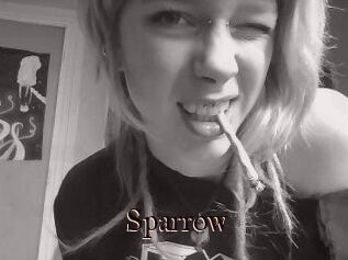 Sparrow