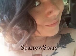 SparrowSoars
