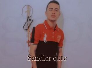 Sandler_cute