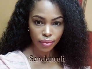 Sanelentuli