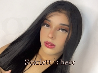 Scarlett_is_here