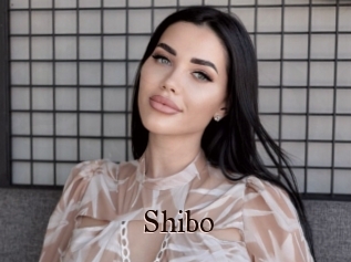 Shibo