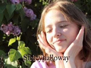 Sibleyhalloway