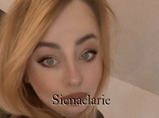 Sienaelarie