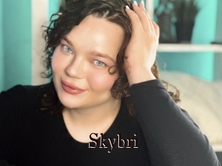 Skybri