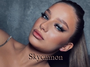 Skycannon