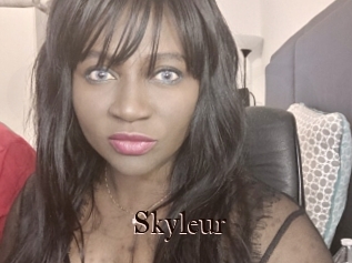 Skyleur