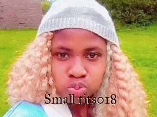 Small_tits018